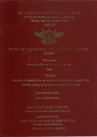 Portada local